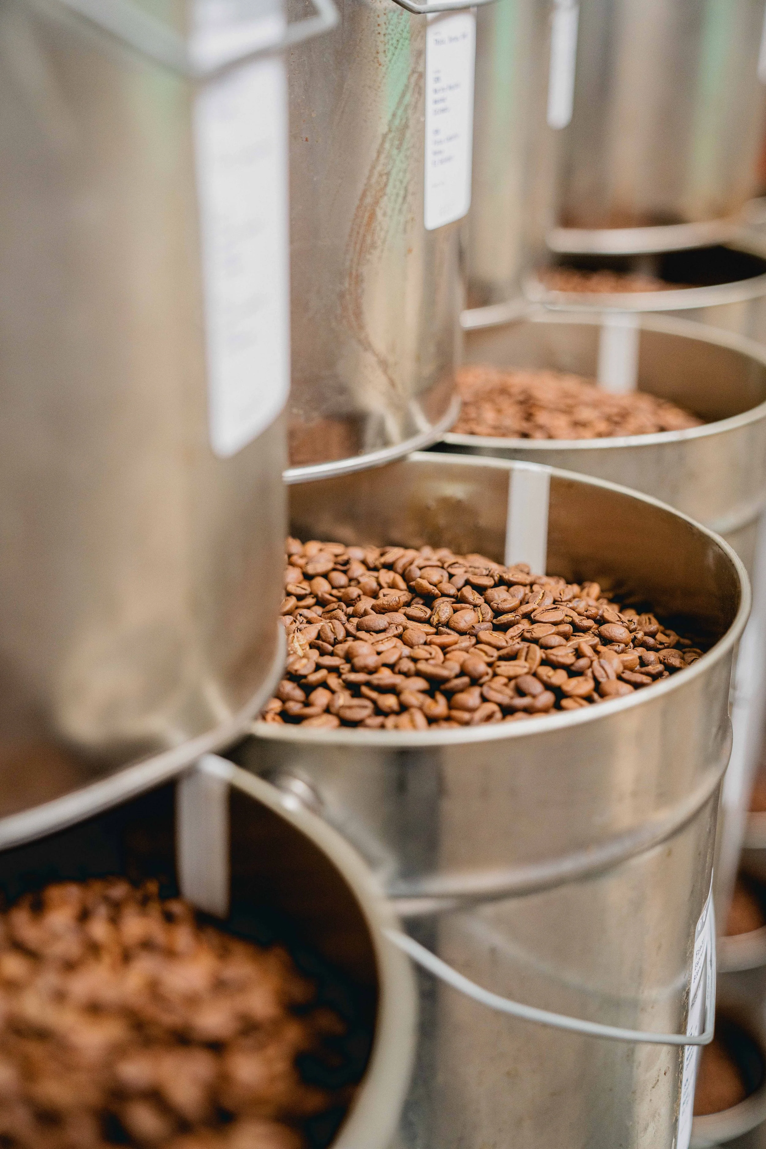 Steel bins filled with roasted coffee beans inside a specialty coffee roastery.